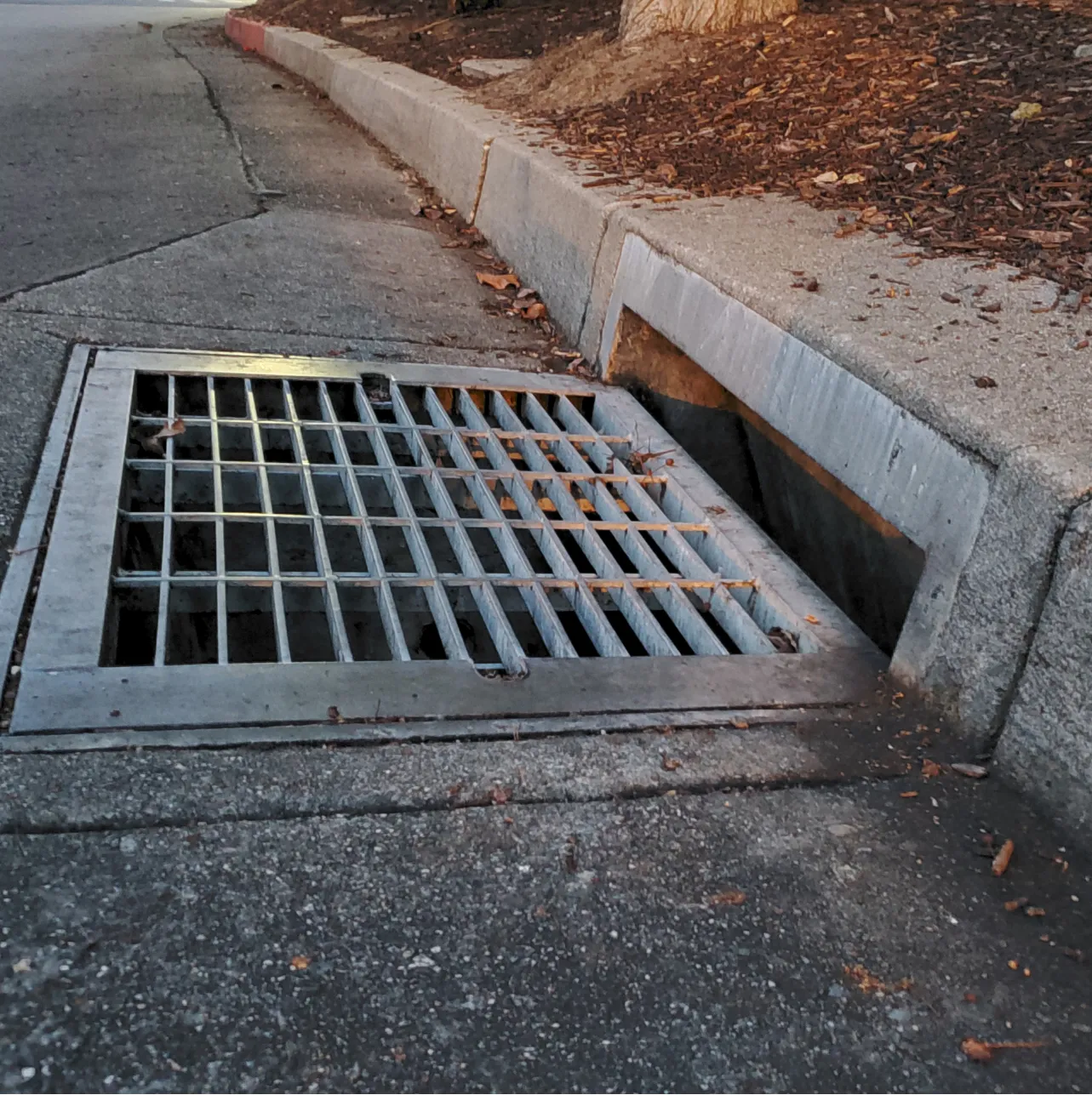 A metal storm drain grate set into a concrete curb.